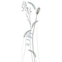 Панно Marburg Crush Motion 63486 Винил на флизелине (0,7*2,7) Белый, Цветы/Листья — фото 1, Обои для стен