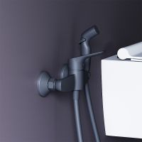 Товар: Гигиенический душ со смесителем Damixa Jupiter 778000300 Черный матовый - фото 2 Гигиенический душ со смесителем Damixa Jupiter 778000300 Черный матовый — фото 2, Душевое оборудование. Душевая программа