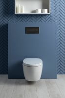 Товар: Унитаз Aquanet ZV-1 303977 подвесной с сиденьем Микролифт - фото 22 Унитаз Aquanet ZV-1 303977 подвесной с сиденьем Микролифт — фото 22, Подвесные унитазы