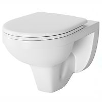 Унитаз Damixa Jupiter DX77C1738SC подвесной с сиденьем Микролифт — фото 1, Унитазы