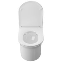 Унитаз Iddis Sena SENRDSEi25 подвесной с сиденьем Микролифт — фото 3, Подвесные унитазы