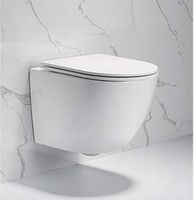 Унитаз Ceruttispa CT7183 / подвесной / фаянсовый / безободковый / с сиденьем микролифт / белый — фото 1, Подвесные унитазы