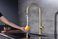 Смеситель для кухни Paulmark Galant Ga213077-SBG Светлое брашированное золото — фото 10, Смесители для кухни