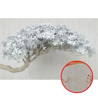 Фреска Ortograf 3D 33748 Фактура бархат золото FX-G Флизелин (4,3*2,7) Белый/Бежевый, Деревья/Цветы — фото 1, Фрески