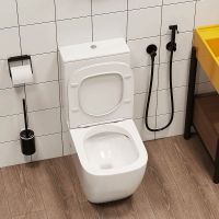 Унитаз компакт Ceruttispa Mimi CT8707 с бачком и сиденьем Микролифт — фото 7, Напольные унитазы