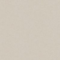 Обои AS Creation Accent 36890-6 Винил на флизелине (1,06*10,05) Бежевый, Штукатурка — фото 1, Обои для стен