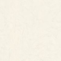 Обои Zambaiti Parati Trussardi VI 46049 Винил на флизелине (1,06*10,05) Белый/Бежевый, Штукатурка — фото 1, Обои для стен