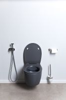 Унитаз Allen Brau Fantasy 4.11004.AN подвесной Антрацит без сиденья — фото 17, Подвесные унитазы