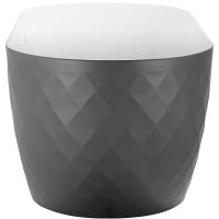 Акриловая ванна Black&White Swan SB320 Grey 170x78 320SBGR Серая матовая Белая глянцевая  без гидромассажа — фото 4, Ванны