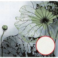 Фреска Ortograf Grafika Natura 31502 Фактура флок FLK Флизелин (2,8*2,7) Зеленый/Серый/Черный, Абстракция/Цветы — фото 1, Фрески