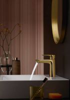 Смеситель для раковины Hansgrohe Talis E 71710990 Полированное золото — фото 2, Смесители