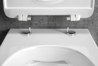 Товар: Унитаз Excellent Doto Pure Rim 48 CEEX.1404.485.WH подвесной с сиденьем Микролифт - фото 5 Унитаз Excellent Doto Pure Rim 48 CEEX.1404.485.WH подвесной с сиденьем Микролифт — фото 5, Унитазы