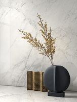 Керамогранит La Faenza Aesthetica AeCal6120Lp 120х120 см — фото 2, Керамогранит