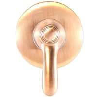 Смеситель для душа Webert Aurora AU880101060 Медь — фото 1, Смесители