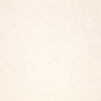 Обои Fipar Modelli Magici R 11581 Винил на флизелине (1,06*10,05) Бежевый, Штукатурка — фото 1, Обои для стен