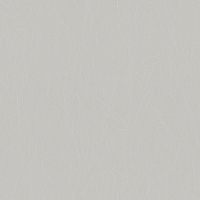 Обои Roberto Borzagi Queen I 90103-3 Винил на флизелине (1,06*10,05) Серый, Однотонные/Линии — фото 1, Обои для стен