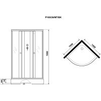Душевая кабина Niagara Promo 100x100 P100/26/MT/BK без гидромассажа — фото 11, Душевые кабины