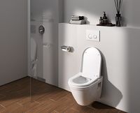Комплект унитаза с инсталляцией Vitra S50 Rim-Ex 9003B003-7201 с сиденьем Микролифт и клавишей смыва Хром глянцевый — фото 9, Комплекты унитаз + инсталляция