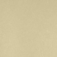 Обои Bernardo Bartalucci Legend 5068-43 Флизелин (1,06*10) Зеленый, Однотонные — фото 1, Обои для стен