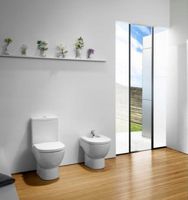 Унитаз компакт Roca Meridian 342247000 без бачка и сиденья — фото 3, Унитазы