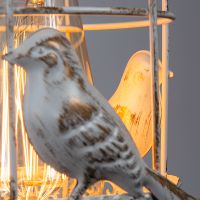 Настенный светильник Artelamp Cincia A5090AP-1WG Белый с золотом — фото 6, Светильники