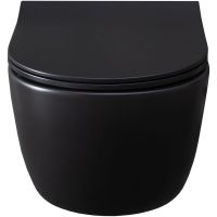 Унитаз Allen Brau Priority 4.31001.31 подвесной Черный матовый без сиденья — фото 11, Подвесные унитазы