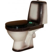 Унитаз компакт Rosa Премьер 4620008191188 Черный декор с бачком и сиденьем — фото 1, Напольные унитазы