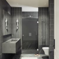 Душевая дверь Maybah Glass MGD-517-4 705x1950 на петлях Хром глянцевый стекло графитовое — фото 2, Душевые двери в нишу