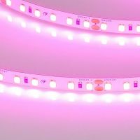 Товар: Светодиодная лента Arlight A120 043381 24В - фото 2 Светодиодная лента Arlight A120 043381 24В — фото 2, Светодиодная подсветка