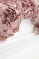 Товар: Фреска Ortograf Цветы 34147 Фактура бархат FX Флизелин (2*3) Белый/Розовый, Цветы арт-34147 (бархат FX) - фото 2 Фреска Ortograf Цветы 34147 Фактура бархат FX Флизелин (2*3) Белый/Розовый, Цветы арт-34147 (бархат FX) — фото 2, Фрески