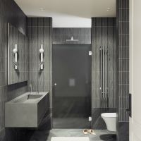 Товар: Душевая дверь Maybah Glass MGD-524-4 805x1950 на петлях Хром глянцевый стекло графитовое матовое - фото 2 Душевая дверь Maybah Glass MGD-524-4 805x1950 на петлях Хром глянцевый стекло графитовое матовое — фото 2, Душевые двери в нишу