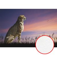 Фреска Ortograf Животные 5040 Фактура бархат FX Флизелин (4*2,7) Бежевый/Сиреневый, Животные — фото 1, Фрески