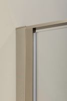 Душевая дверь Allen Brau Priority 140 3.31011.BA профиль Серебро брашированное стекло прозрачное — фото 3, Распашные душевые двери