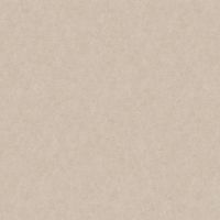 Обои LOYMINA A La Prima Pm10 002 Флизелин (1*10,05) Бежевый, Штукатурка — фото 1, Обои для стен