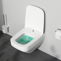 Унитаз AM.PM Inspire V2.0 FlashClean C50A1700MWSC подвесной Белый матовый с сиденьем микролифт — фото 14, Подвесные унитазы