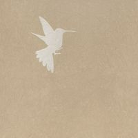 Обои Bernardo Bartalucci Legend 5071-4 Флизелин (1,06*10) Розовый, Птицы — фото 1, Обои для стен