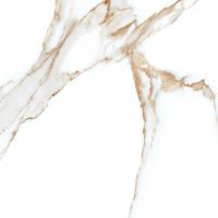 Керамогранит A-Ceramica Alex Calacatta Polished 60х60 см — фото 9, Керамогранит