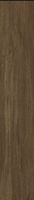 Керамогранит WIFI Ceramics Bonsai Cocoa BNS212008 20х120 см — фото 1, Керамогранит
