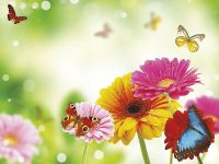 Товар: Фреска Ortograf Цветы 3326 Фактура бархат FX Флизелин (3,6*2,7) Зеленый/Разноцветный, Цветы/Бабочки - фото 2 Фреска Ortograf Цветы 3326 Фактура бархат FX Флизелин (3,6*2,7) Зеленый/Разноцветный, Цветы/Бабочки — фото 2, Фрески