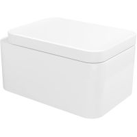 Унитаз Flaminia Nile NL118G подвесной Белый без сиденья — фото 1, Унитазы