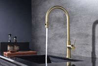 Смеситель для кухни Paulmark Galant Ga213077-SBG Светлое брашированное золото — фото 4, Смесители для кухни