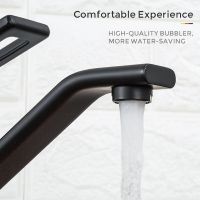 Смеситель для кухни Gappo G17-6 G4517-6 Черный матовый — фото 4, Смесители для кухни