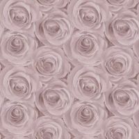 Обои AS Creation Podium 37644-1 Винил на флизелине (1,06*10,05) Розовый, Цветы — фото 1, Обои для стен