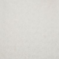 Обои Fipar Grand Classic R 28005 Винил на флизелине (1,06*10,05) Бежевый/Серый, Штукатурка — фото 1, Обои для стен