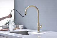 Смеситель для кухни Paulmark Senso Se215180-SBG Светлое брашированное золото — фото 7, Смесители