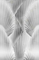 Панно Zambaiti Parati Trussardi VII 18971 Винил на флизелине (2*3) Серый, Абстракция/Листья — фото 2, Обои для стен