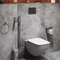 Комплект унитаза с инсталляцией AM.PM Inspire 2.0 CK50GD с сиденьем Микролифт с клавишей смыва Хром с гигиеническим душем и аксессуарами для ванной комнаты — фото 3, Комплекты унитаз + инсталляция