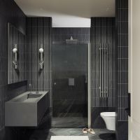 Душевая дверь Maybah Glass MGD-806-5 800x1980 на монопетле Хром матовый стекло графитовое — фото 2, Душевые двери в нишу