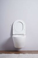 Унитаз Esbano Azalea ESUPAZALW подвесной Белый глянцевый с сиденьем Микролифт — фото 4, Подвесные унитазы