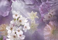 Товар: Фреска Ortograf Цветы 4333 Фактура флок FLK Флизелин (3,9*2,7) Сиреневый/Белый, Цветы - фото 2 Фреска Ortograf Цветы 4333 Фактура флок FLK Флизелин (3,9*2,7) Сиреневый/Белый, Цветы — фото 2, Фрески